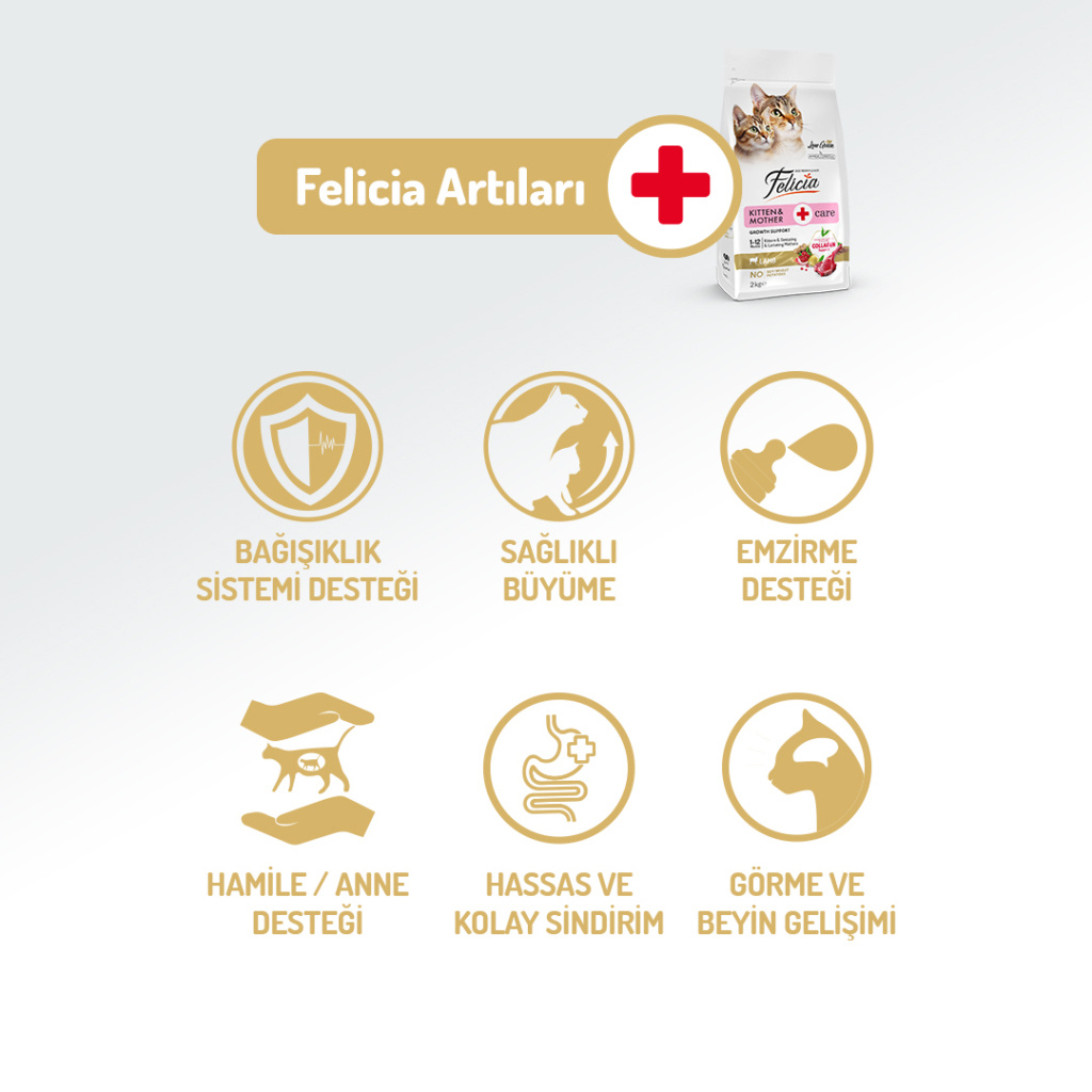 Felicia Hipoalerjenik Kuzu Etli Düşük Tahıllı Yavru Kedi Maması 2kg