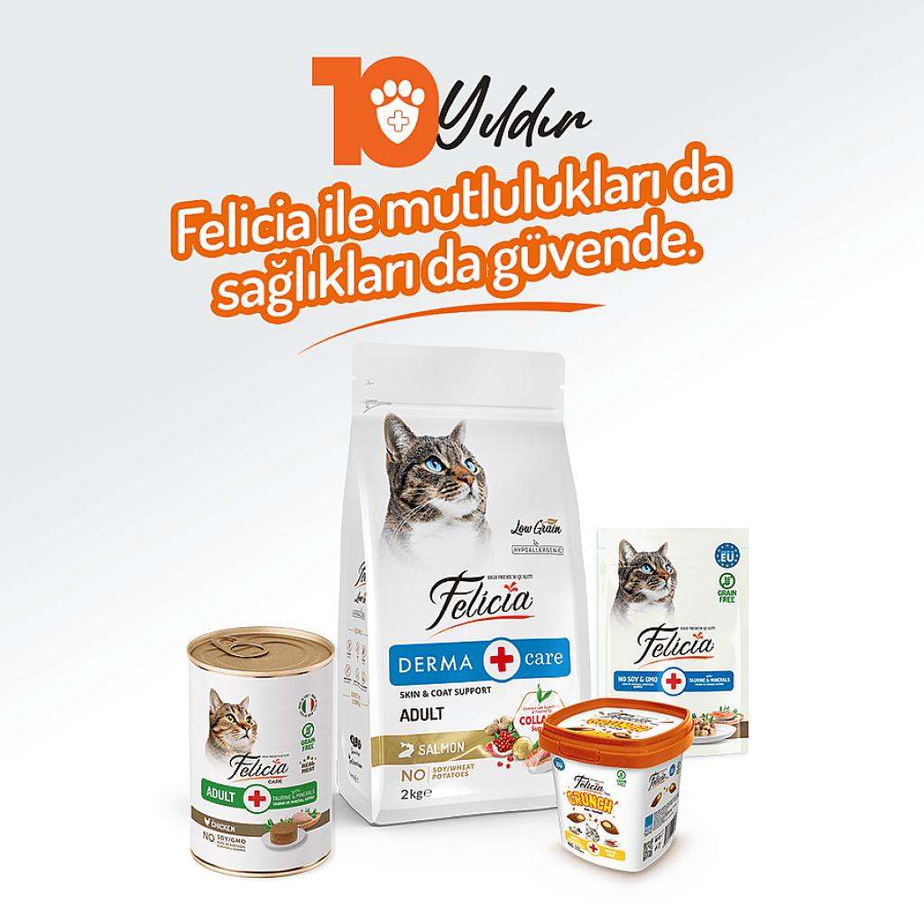 Felicia Pate Tavuklu Tahılsız Yetişkin Kedi Konservesi 400gr