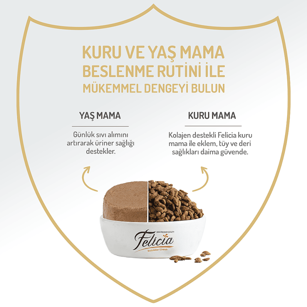 Felicia Pate Tavuklu Tahılsız Yetişkin Kedi Konservesi 400gr