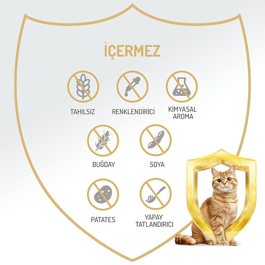 Felicia Pate Biftekli Tahılsız Yetişkin Kedi Konservesi 400gr