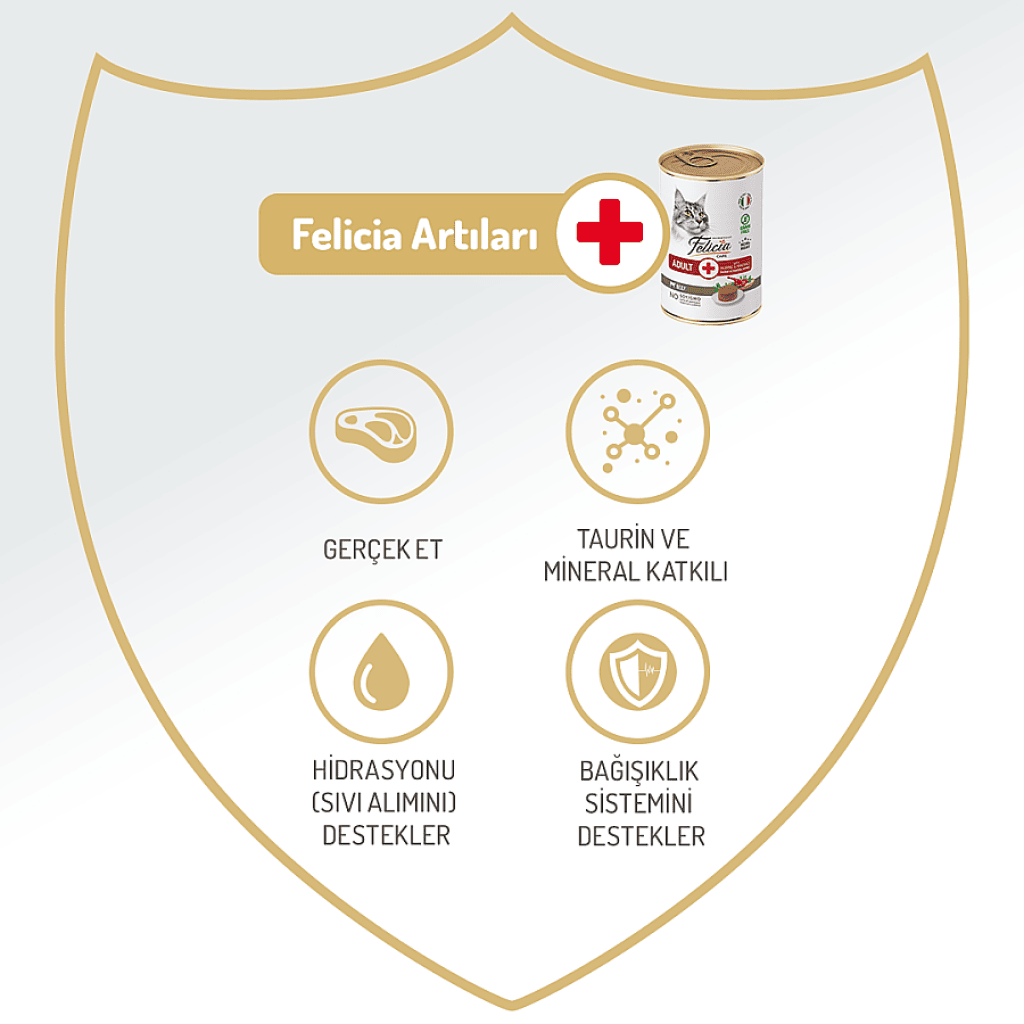 Felicia Pate Biftekli Tahılsız Yetişkin Kedi Konservesi 400gr