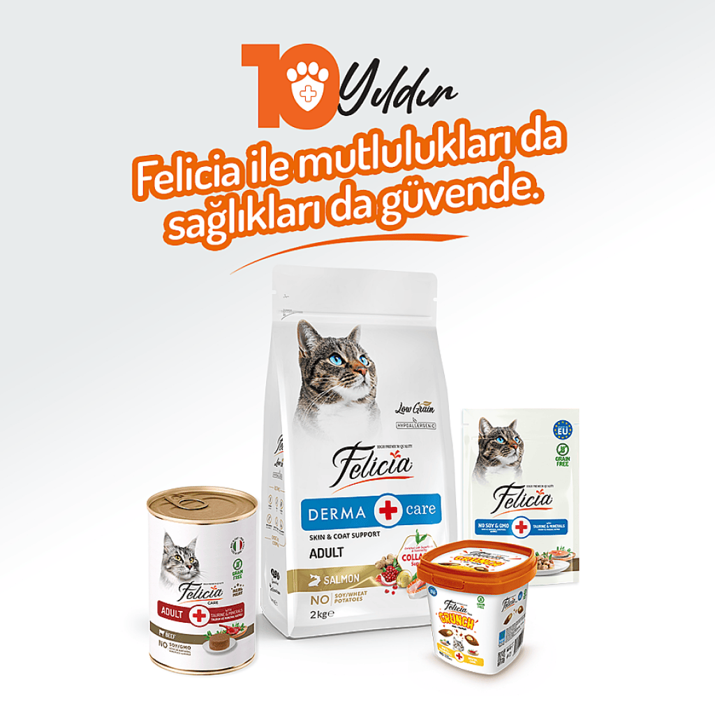 Felicia Pate Biftekli Tahılsız Yetişkin Kedi Konservesi 400gr
