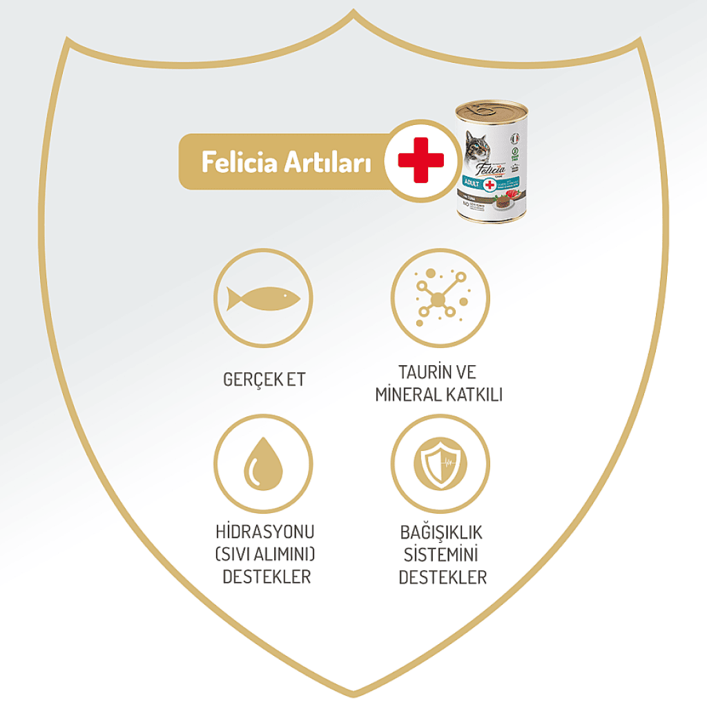 Felicia Pate Ton Balıklı Tahılsız Kedi Konservesi 400gr