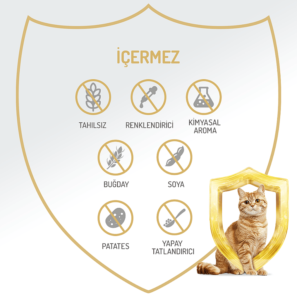Felicia Pate Ton Balıklı Tahılsız Kedi Konservesi 400gr