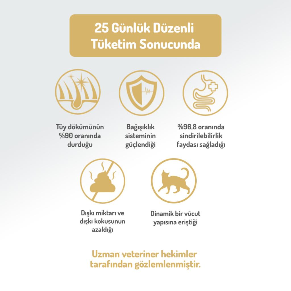Felicia Hipoalerjenik Tavuklu ve Hamsili Düşük Tahıllı Yetişkin Kedi Maması 2kg