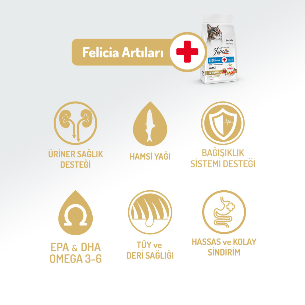 Felicia Hipoalerjenik Somonlu Düşük Tahıllı Yetişkin Kedi Maması 2kg