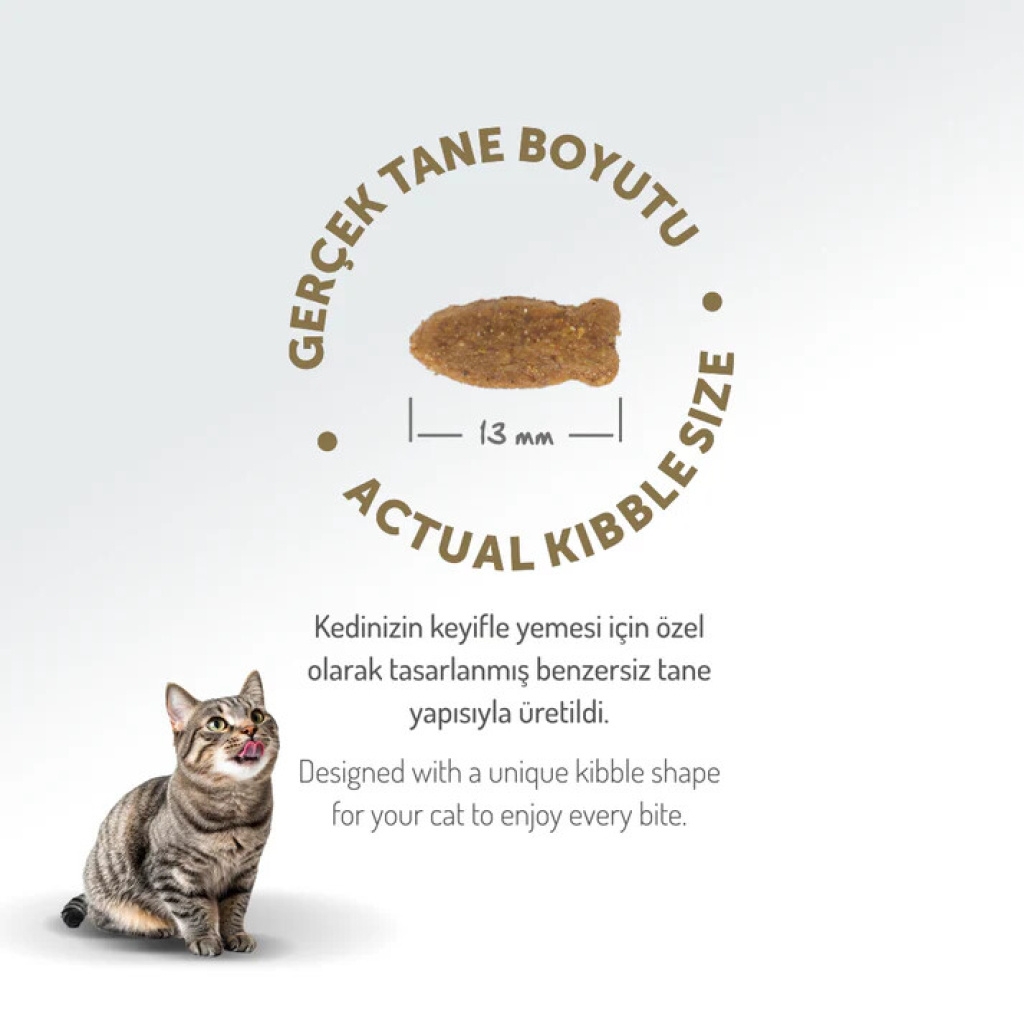 Felicia Hipoalerjenik Kolejen Destekli Somonlu Yetişkin Kedi Maması 5kg