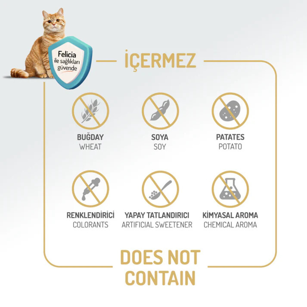 Felicia Hipoalerjenik Kolejen Destekli Somonlu Yetişkin Kedi Maması 5kg