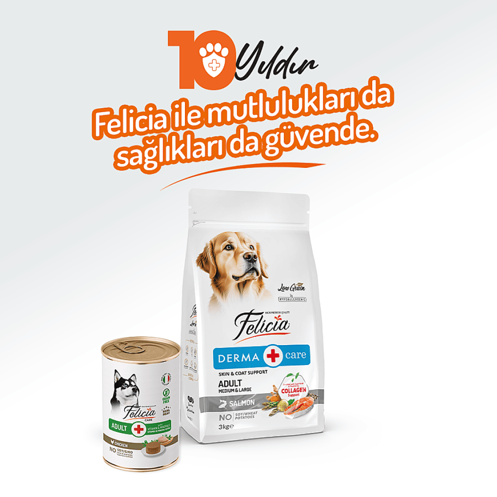 Felicia Pate Tavuklu Tahılsız Yetişkin Köpek Konservesi 400gr