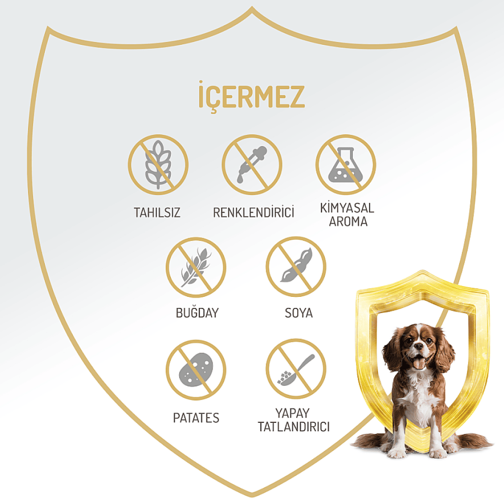 Felicia Pate Tavuklu Tahılsız Yetişkin Köpek Konservesi 400gr