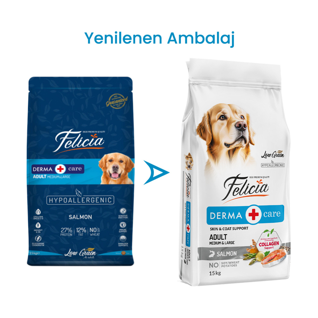 Felicia Hipoalerjenik Somonlu Düşük Tahıllı Yetişkin Köpek Maması 15kg