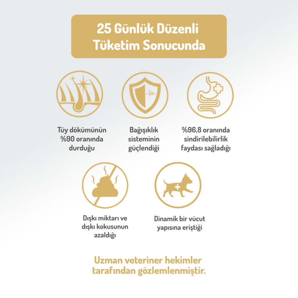 Felicia Hipoalerjenik Somonlu Düşük Tahıllı Yetişkin Köpek Maması 3kg