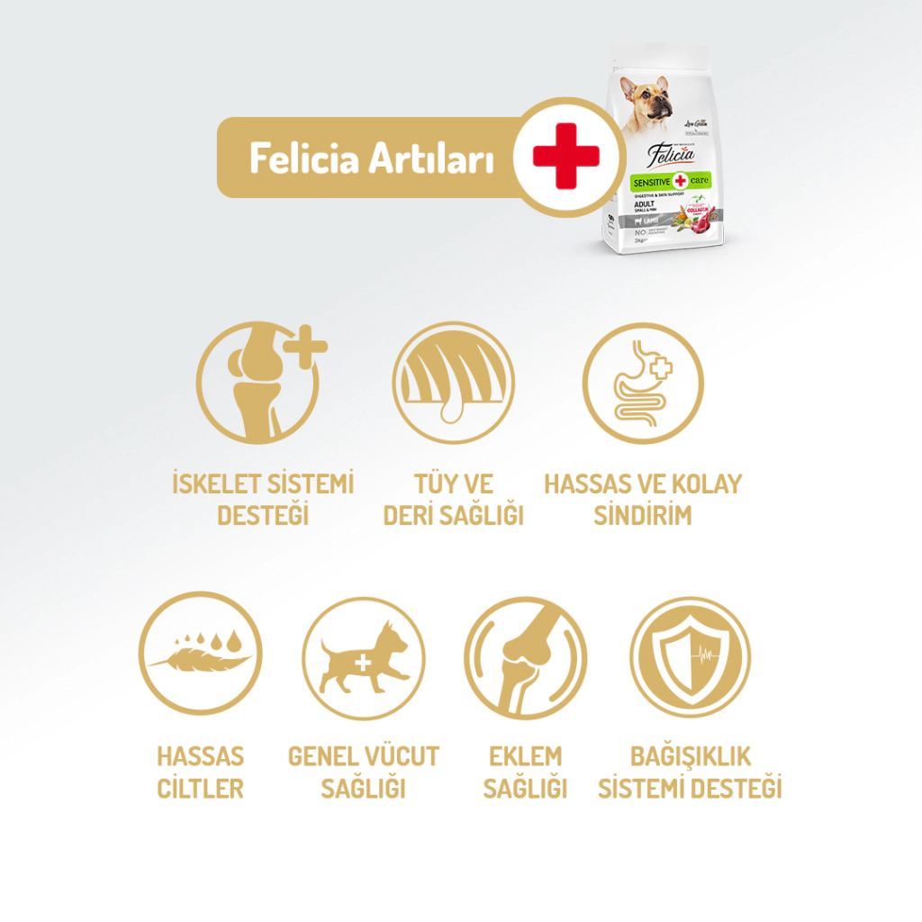 Felicia Sensitive Care Kuzulu ve Pirinçli K+üçük Irk Düşük Tahıllı Yetişkin Köpek Maması 6kg
