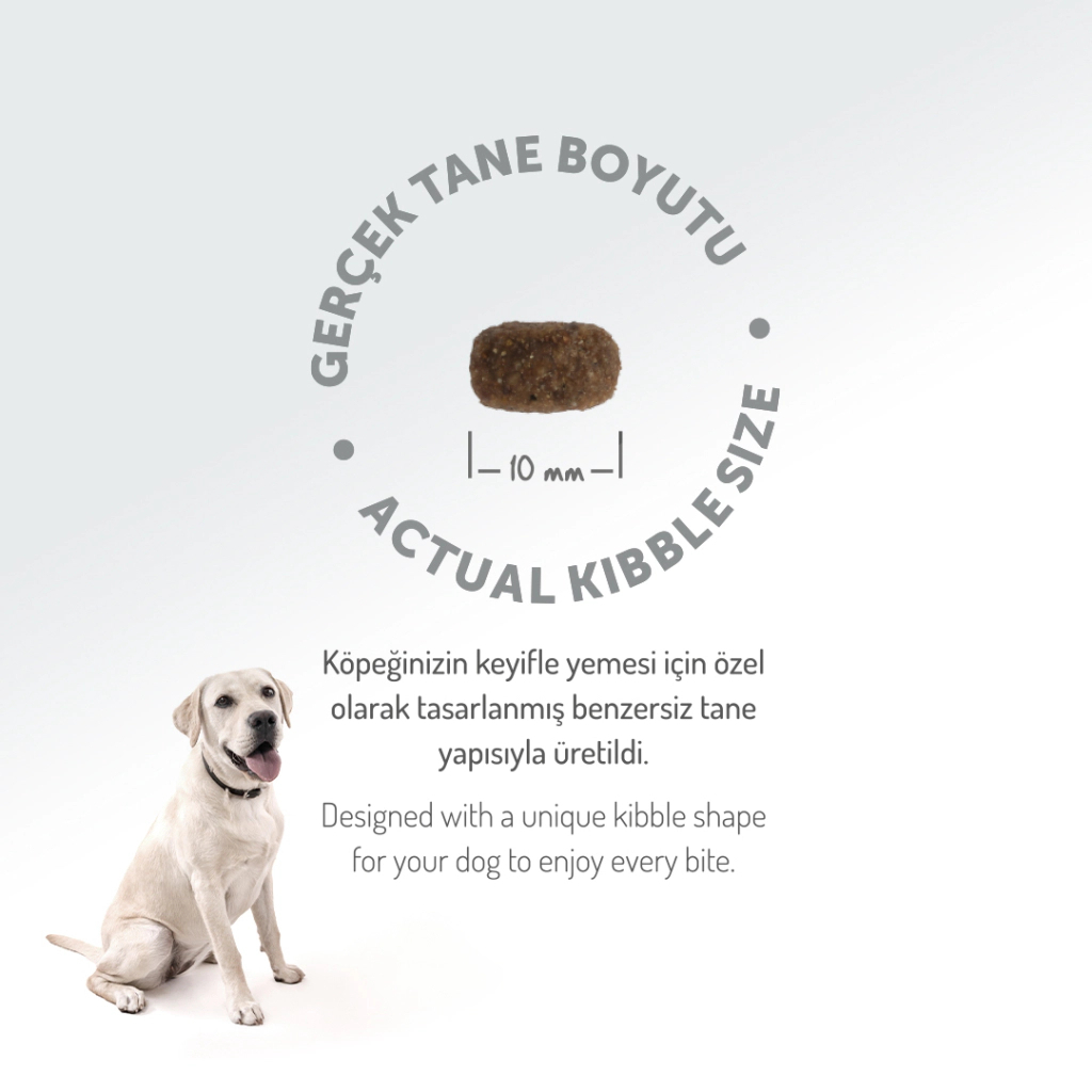 Felicia Sensitive Care Kuzulu ve Pirinçli K+üçük Irk Düşük Tahıllı Yetişkin Köpek Maması 6kg