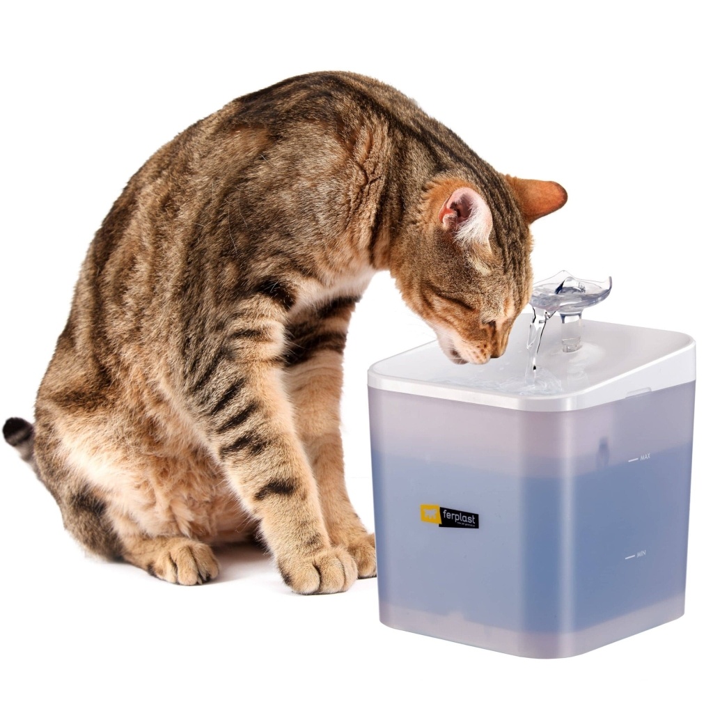 Ferplast Ares Kedi ve Küçük Irk Köpekler İçin Otomatik Su Kabı 2000ml (Karışık Renkli)