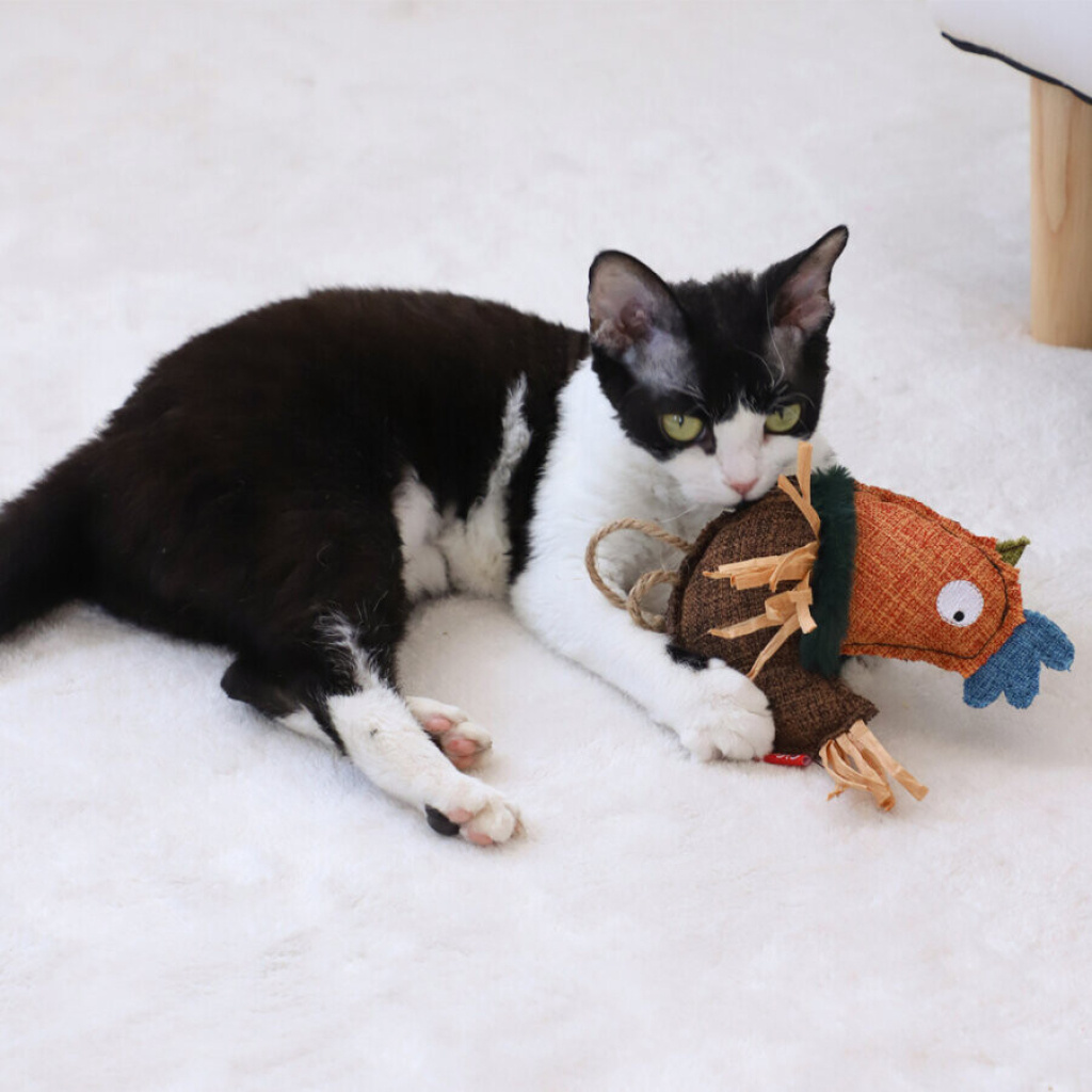 GiGwi Catnipli Tavuk Kedi Oyuncağı 16,51x11,94x4,32cm