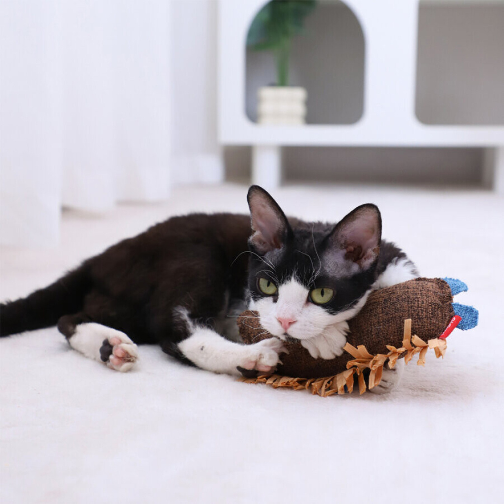 GiGwi Catnipli Kirpi Kedi Oyuncağı 52x33x19cm