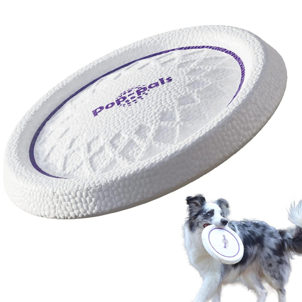 GiGwi Frizbi Köpek Oyuncağı 23cm [M]