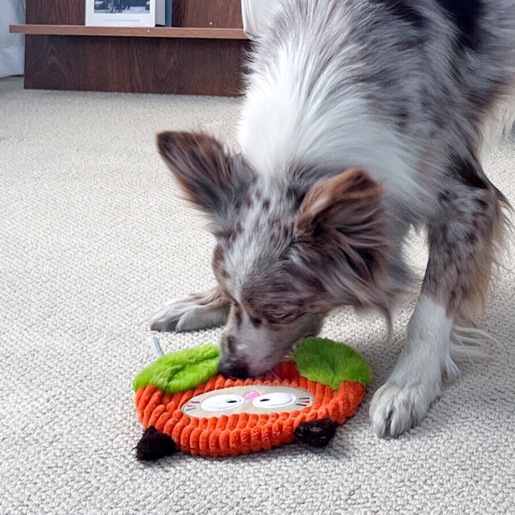 GiGwi İpli Baykuş Köpek Oyuncağı 45x45x23cm