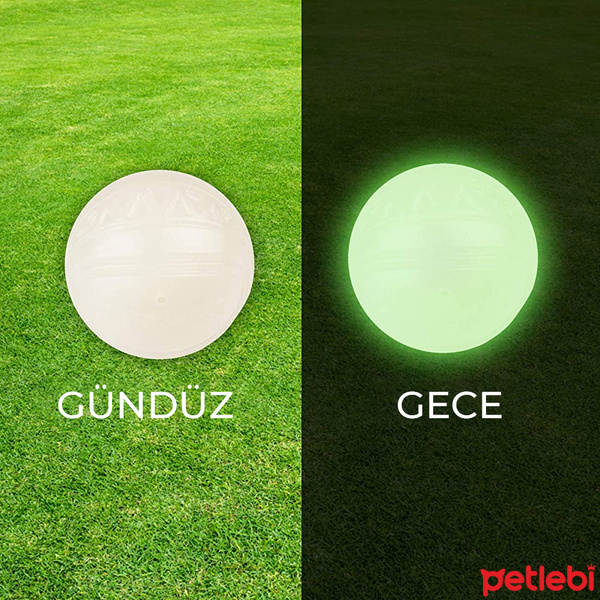 GiGwi Skipdawg Neon Top Köpek Oyuncağı 20cm