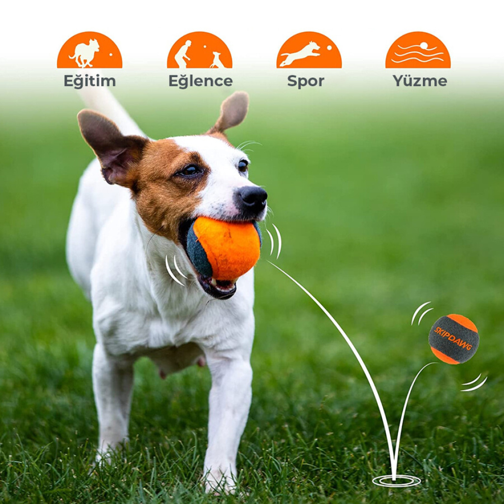 GiGwi Skipdawg Tenis Topu Köpek Oyuncağı (4'lü)