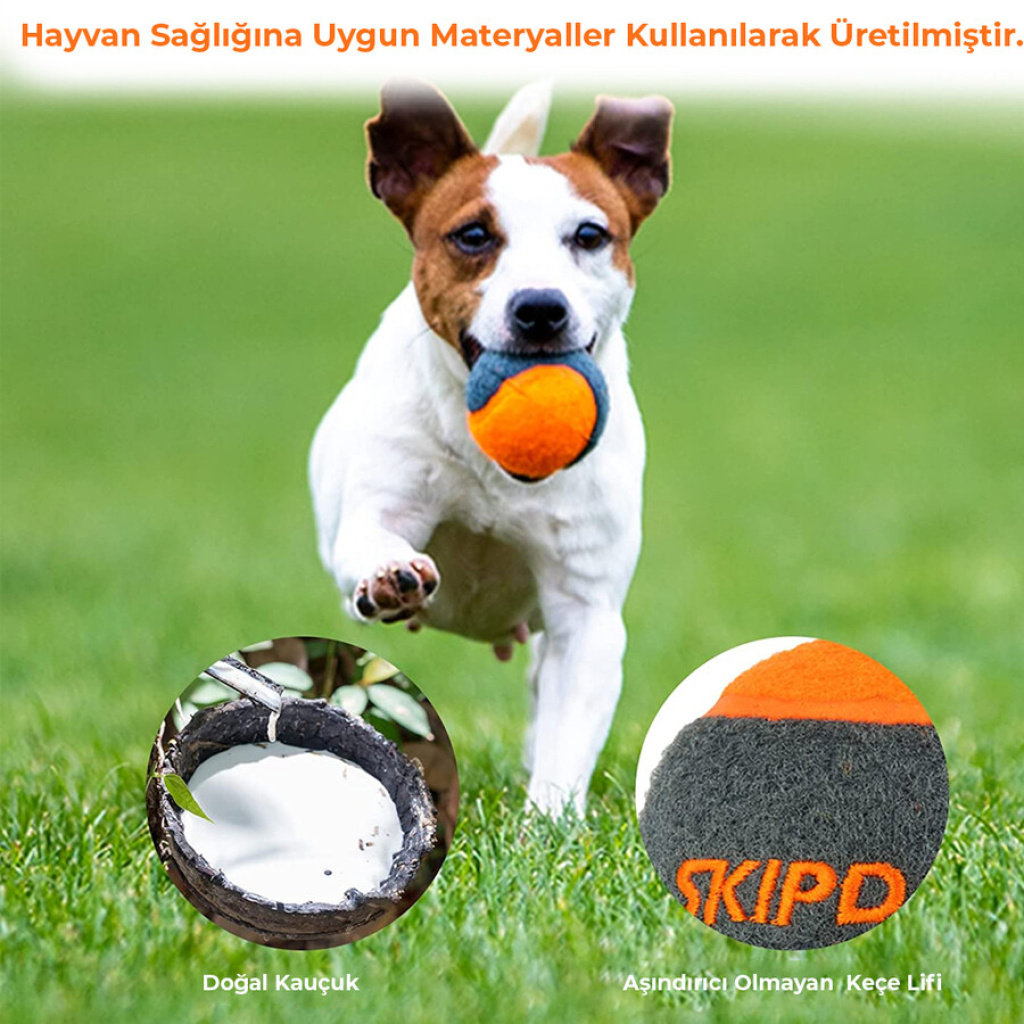 GiGwi Skipdawg Tenis Topu Köpek Oyuncağı (4'lü)