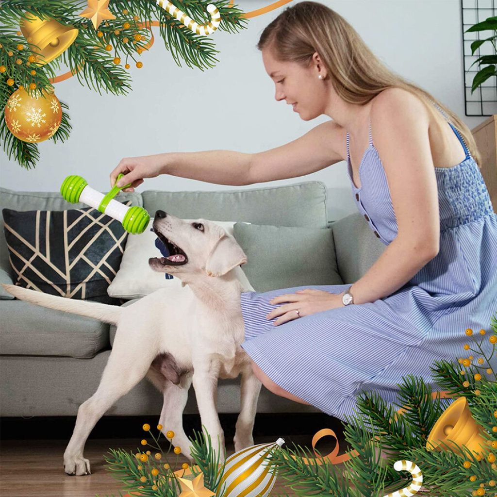 GiGwi İnteraktif Plastik Kemik Köpek Oyuncağı 20,7cm