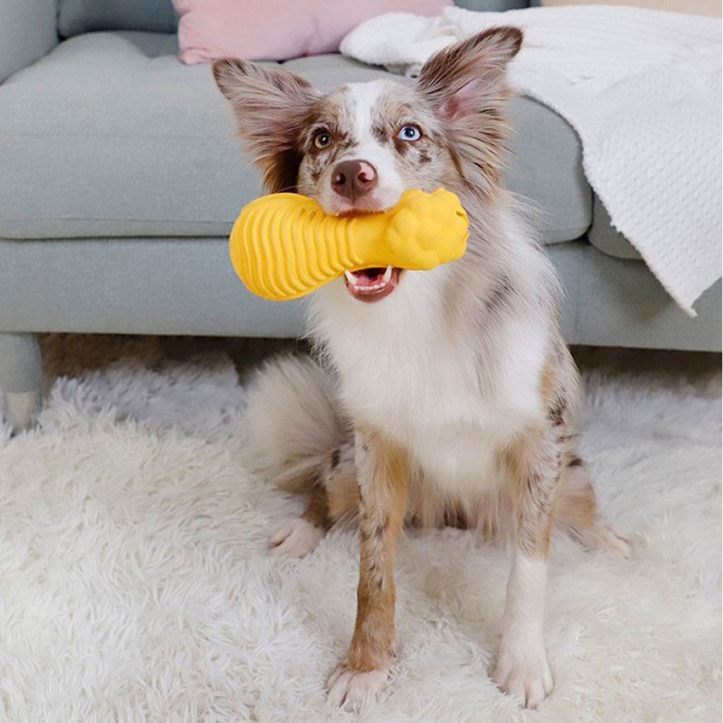 GiGwi Aslan Başlı Dambıl Köpek Oyuncağı 17cm (Sarı) [M]