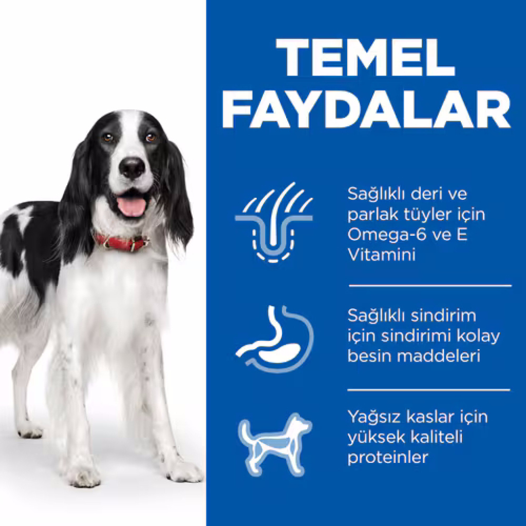 Hill's SCIENCE PLAN Tavuklu Yetişkin Köpek Konservesi 370gr