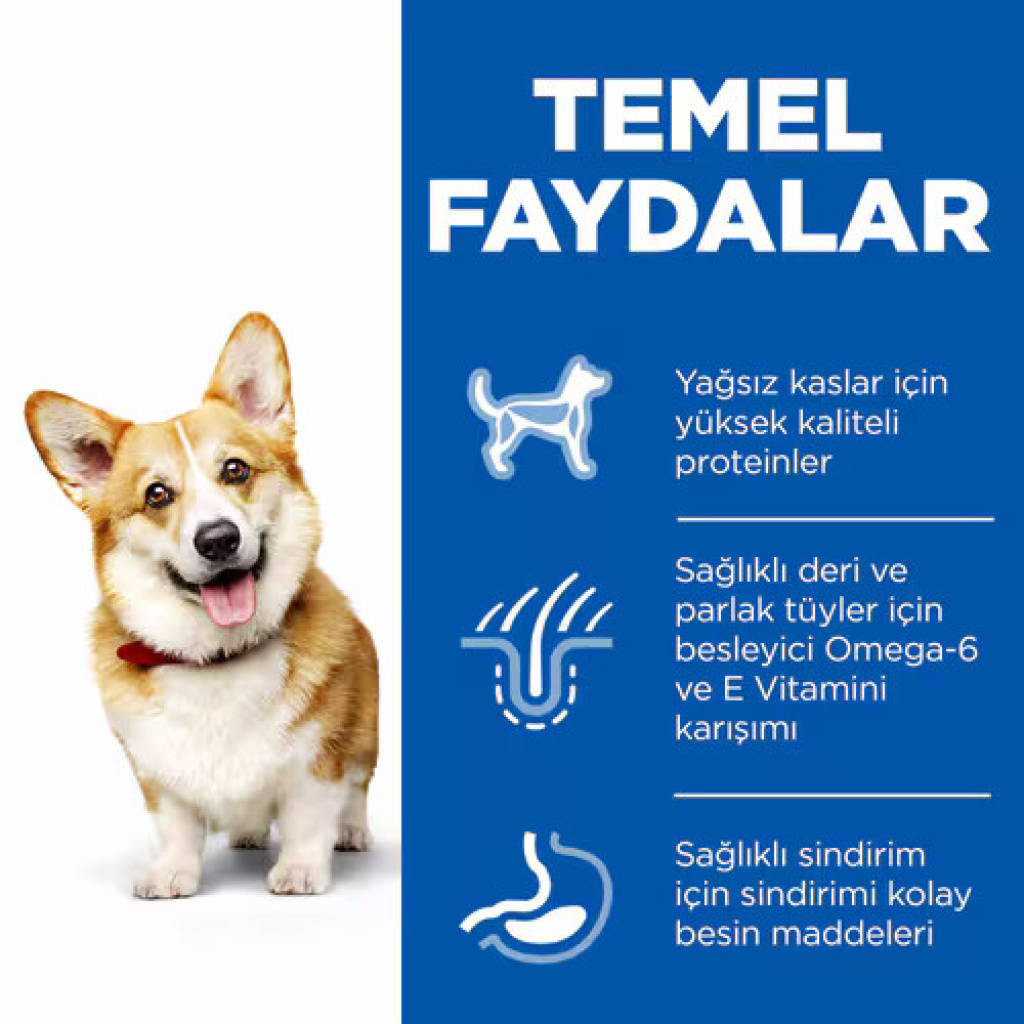 Hill's SCIENCE PLAN Tavuklu Küçük Irk Yetişkin Köpek Maması 6kg