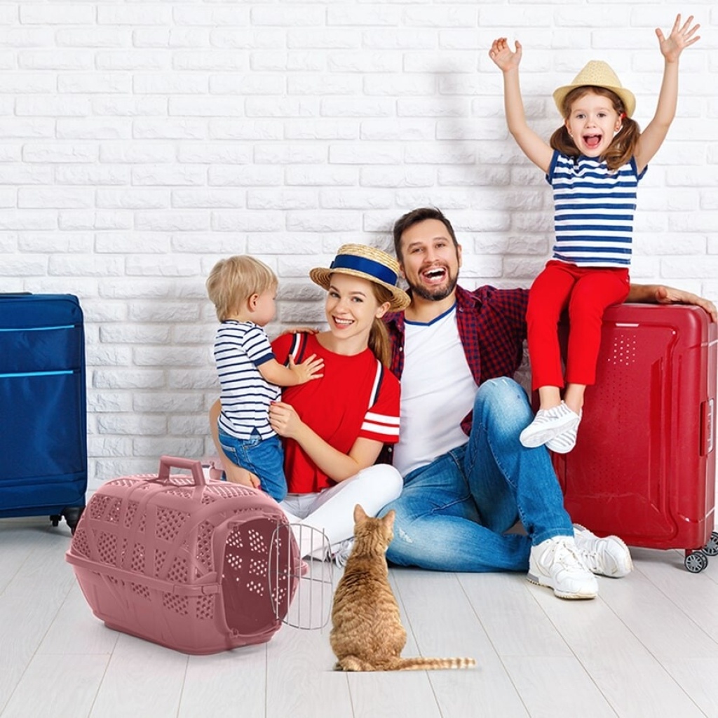 IMAC Carry Sport Metal Kapılı Kedi ve Küçük Irk Köpek Taşıma Çantası 48,5x34x32cm (Mavi)