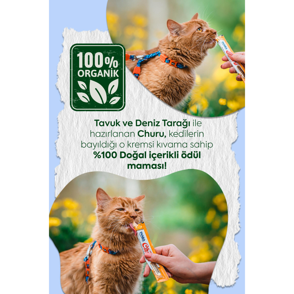 INABA CIAO Churu Cream Tavuklu ve Deniz Taraklı Krema Kedi Ödül Maması 14gr (4'lü)