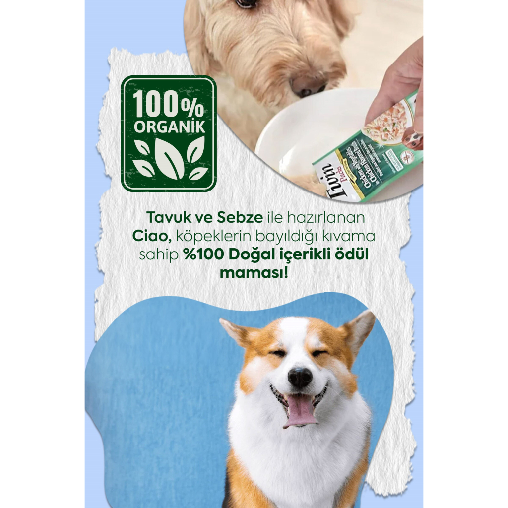 INABA Churu Twin Packs Tavuklu Sebzeli Köpek Çorbası 40gr (2 Adet)
