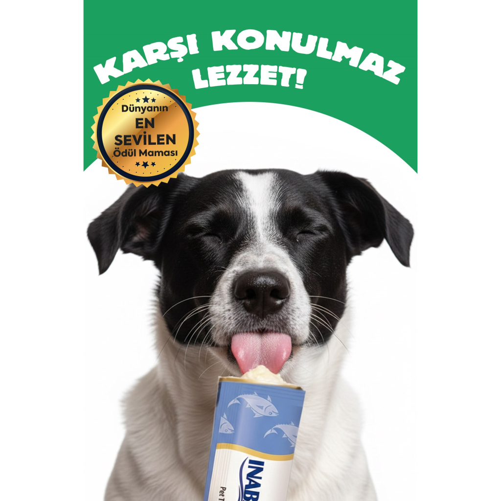 INABA Churu Twin Packs Tavuklu Sebzeli Köpek Çorbası 40gr (2 Adet)