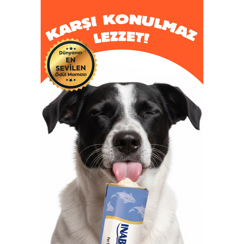 INABA Churu Twin Packs Tavuklu Sebzeli ve Biftekli Köpek Çorbası 40gr (2 Adet)