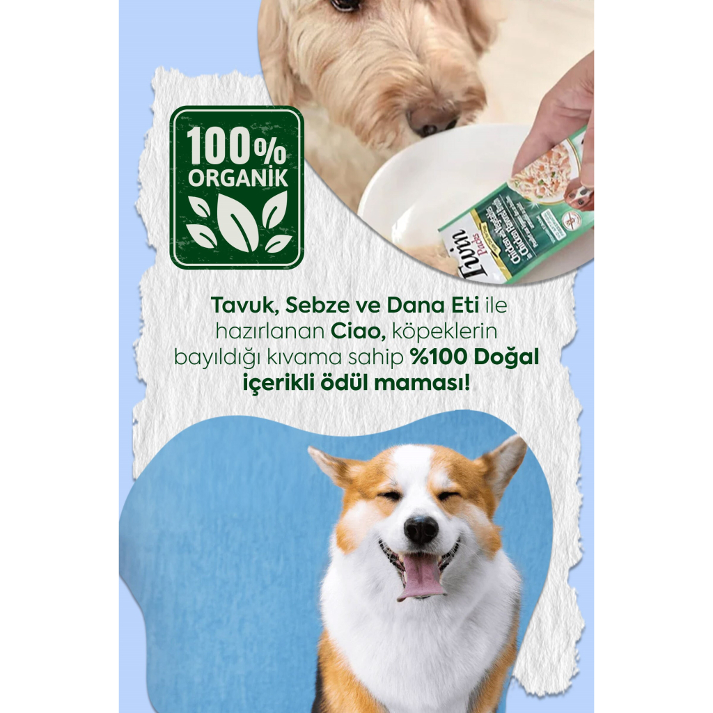 INABA Churu Twin Packs Tavuklu Sebzeli ve Biftekli Köpek Çorbası 40gr (2 Adet)