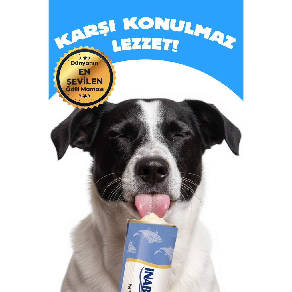 INABA Churu Twin Packs Tavuklu Sebzeli ve Peynirli Köpek Çorbası 40gr (2 Adet)
