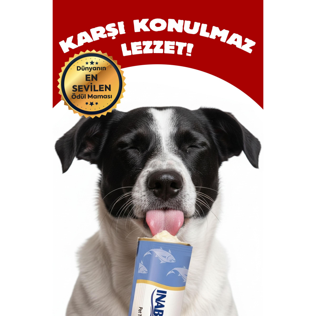 INABA Churu Fun Bites Sticks Tavuk Sargılı Köpek Ödül Maması 22gr (6 Adet)