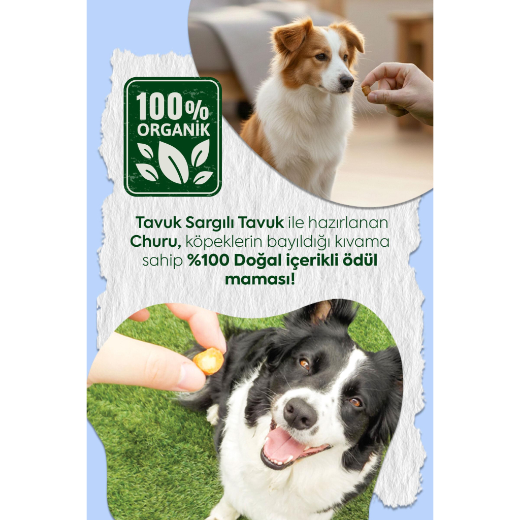 INABA Churu Fun Bites Sticks Tavuk Sargılı Köpek Ödül Maması 22gr (6 Adet)