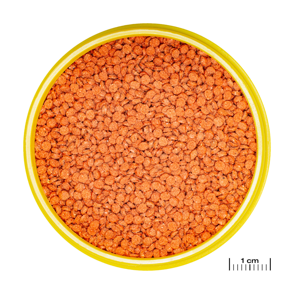 JBL Pronovo Bits Grano Akvaryum Balık Yemi 250ml 120gr [M]