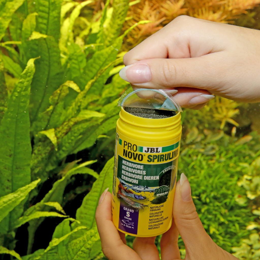 JBL Pronovo Spirulina 100ml 58gr [S]