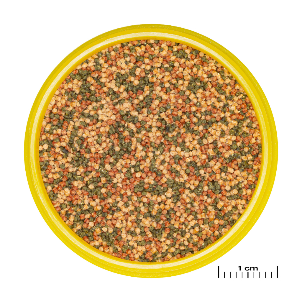 JBL Pronovo Bel Tropikal Balıklar İçin Granül Balık Yemi 100ml 56gr