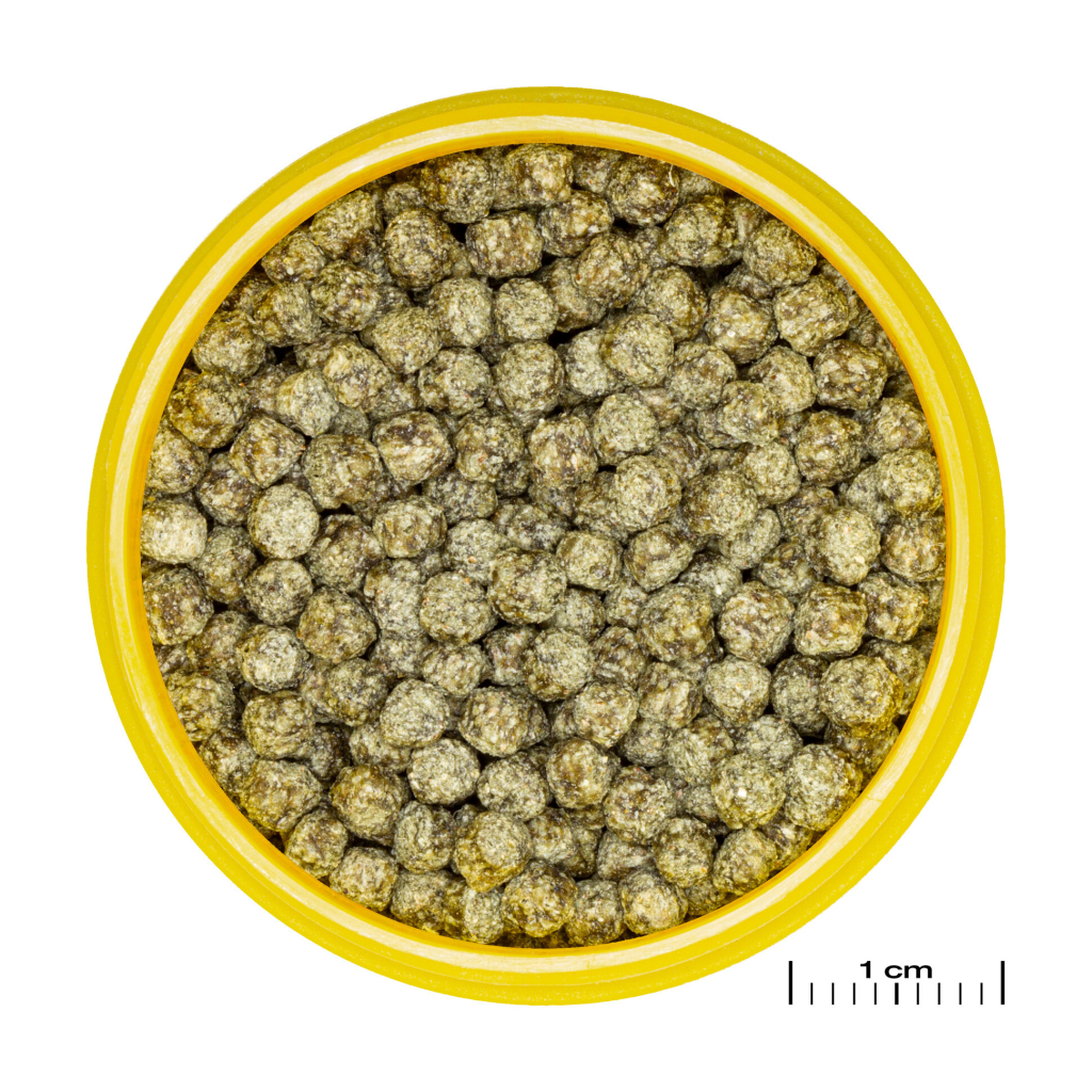 JBL PRONOVO RED GRANO M Japon Balıkları İçin Akvaryum Granül Yemi 100ml 37gr