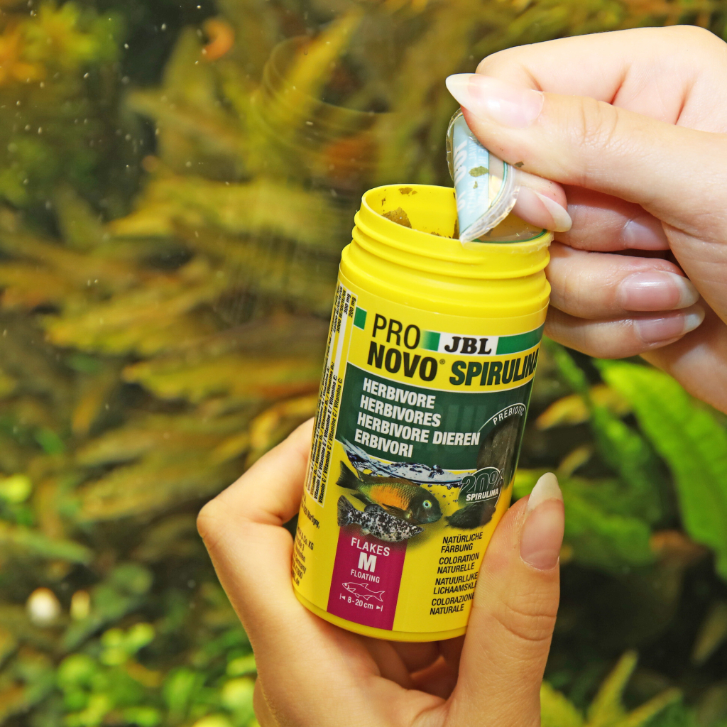 JBL Pronovo Spirulina Flakes 100ml 16gr [M]