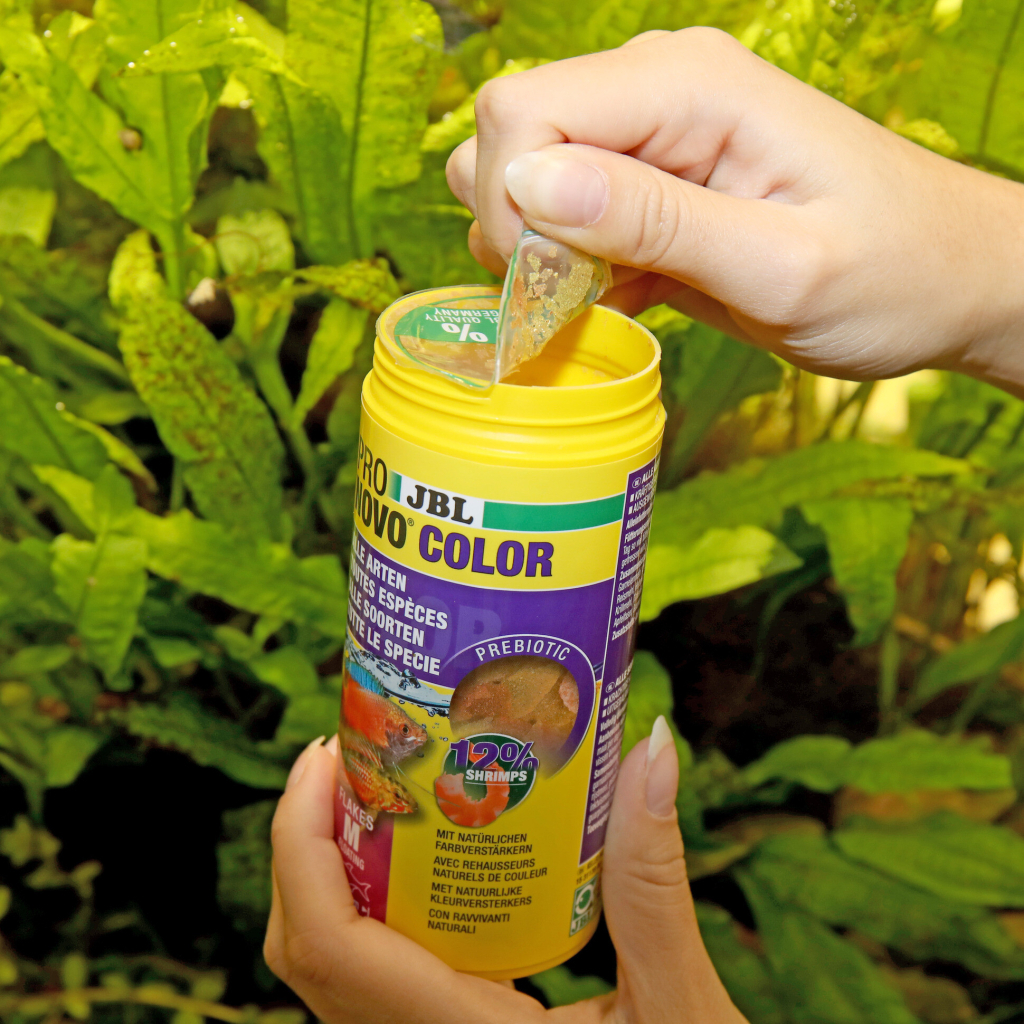 JBL PRONOVO COLOR FLAKES M Renk Geliştirici Tüm Süs Balıkları İçin Akvaryum Pul Yemi 100ml 18gr