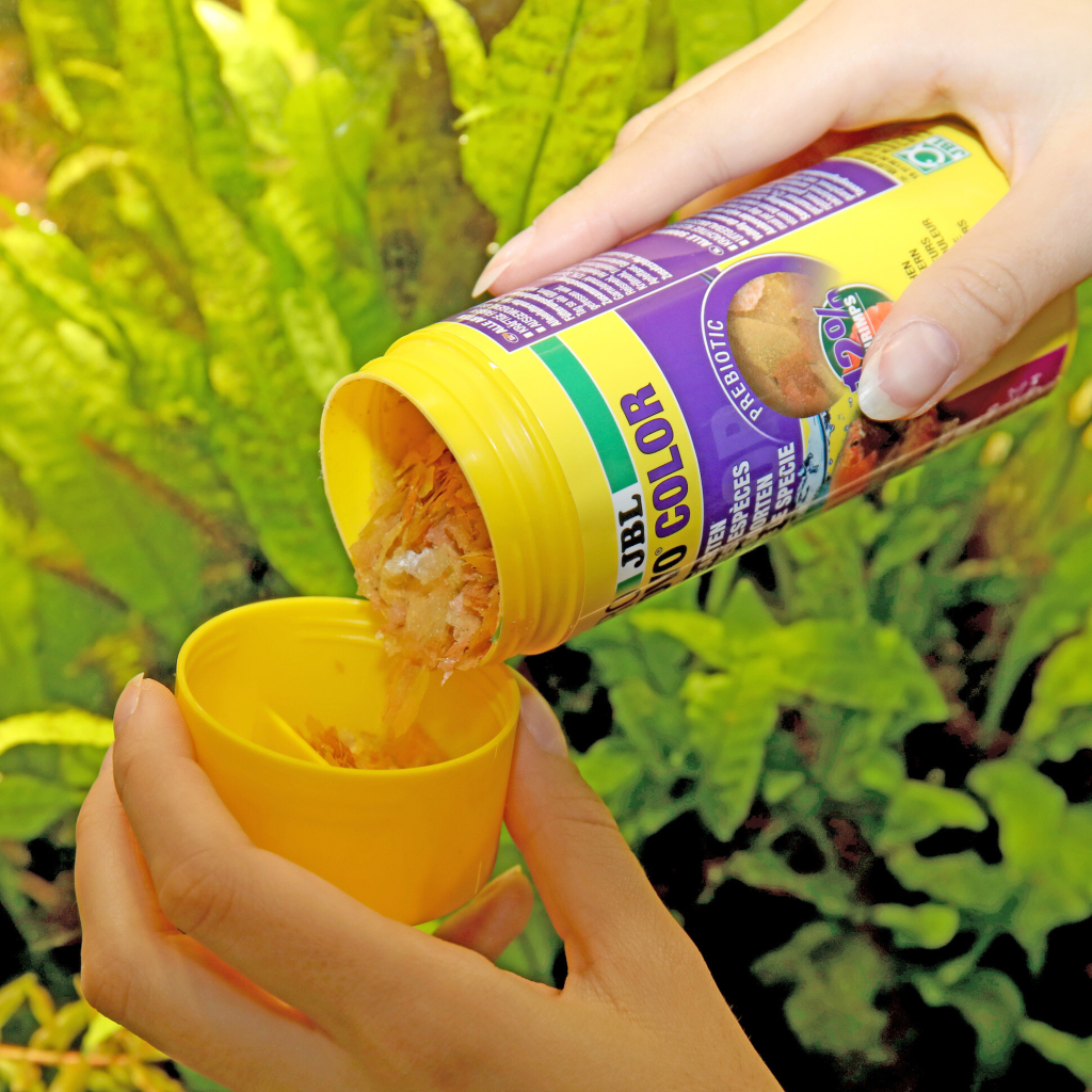 JBL PRONOVO COLOR FLAKES M Renk Geliştirici Tüm Süs Balıkları İçin Akvaryum Pul Yemi 100ml 18gr