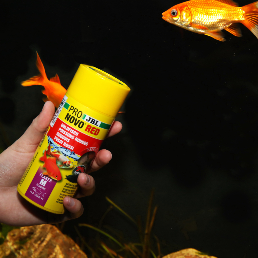 JBL Pronovo Red Flakes Akvaryum Balık Yemi 250ml 45gr [M]