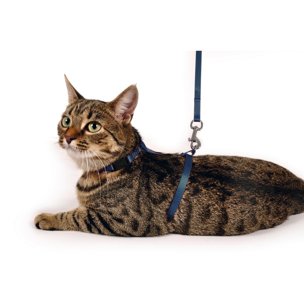 Karlie Kedi Göğüs Tasması ve Gezdirme Kayışı (Mavi)