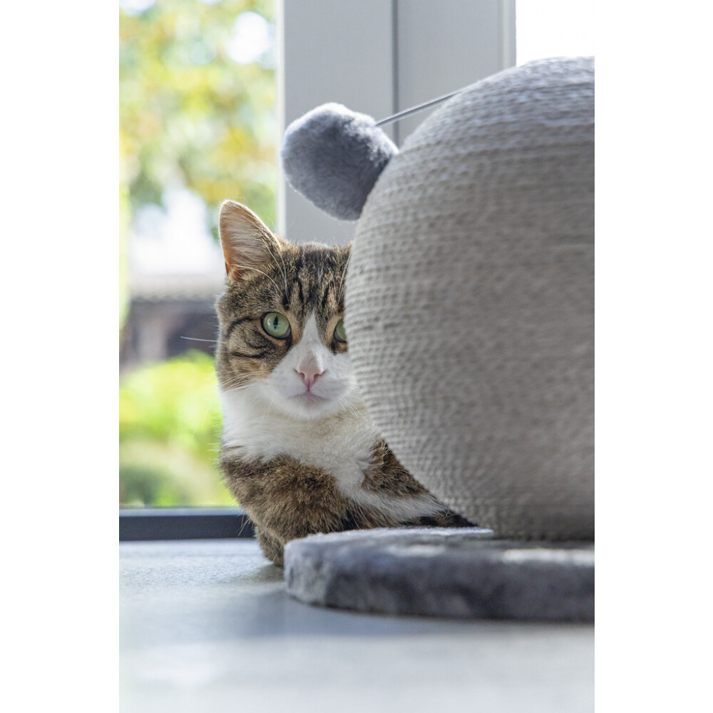 Karlie Bolly Küre Kedi Tırmalama Tahtası 30,5cm (Gri)