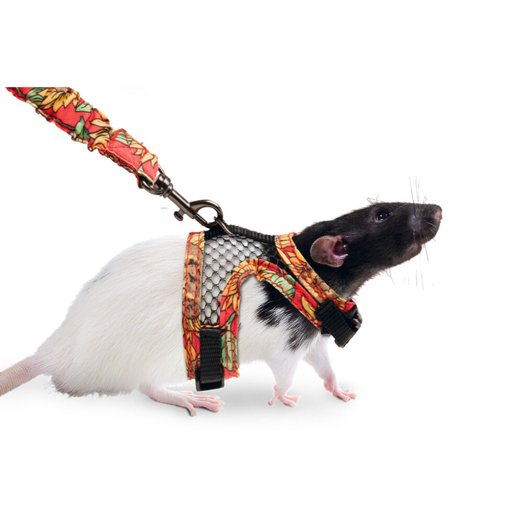 Karlie Kemirgenler İçin Desenli Göğüs Tasması